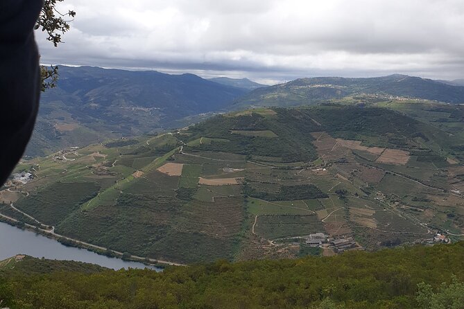 Douro Valley Tour Wine and breathtaking views - Quinta da Pacheca and Casa de Mateus: optional stops that change the vibe