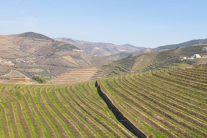 Douro Valley Tour Wine and breathtaking views - What is included, and what you should expect to pay separately