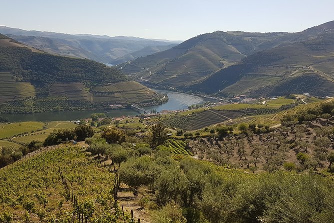 Douro Valley Tour Wine and breathtaking views - Miradouro de Sao Leonardo de Galafura: where the photos start