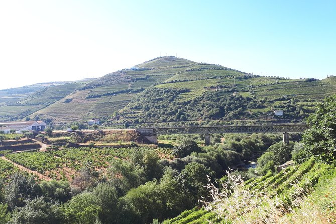 Douro Valley Tour (wine & Food) - Stop 3: D’Origem olive oil press museum, plus olive oil and wine tastings