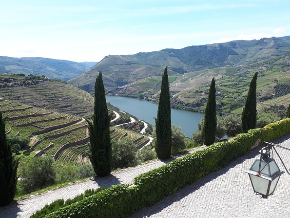 Douro Valley Tour (wine & Food) - Timing and group size: why this tour feels smoother than DIY