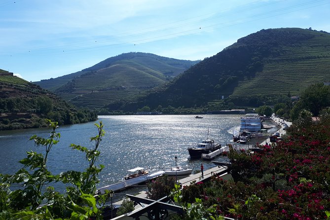 Douro Valley Tour (wine & Food) - The real star: guide service that adds personal context