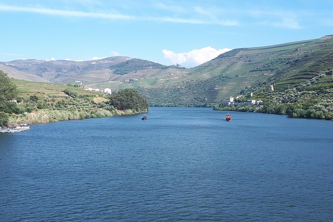Douro Valley Tour (wine & Food) - Stop 2: Quinta do Seixo (Sandeman) Port tasting for classic taste and scale