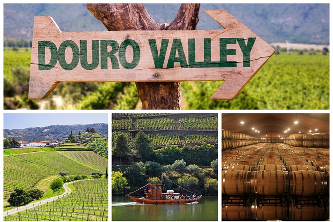 Douro Valley Tour: Wine Tasting, Cruise and Lunch from Porto - Key Points at a Glance