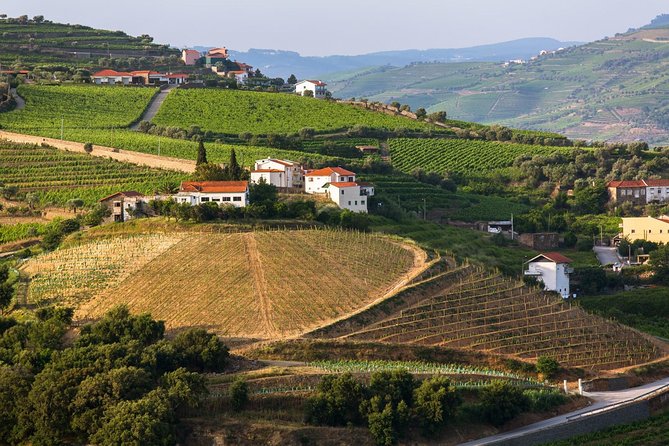 Douro Valley Tour: Wine Tasting, Cruise and Lunch from Porto - Santa Marta de Penaguião: Second Tasting and More Viewpoints