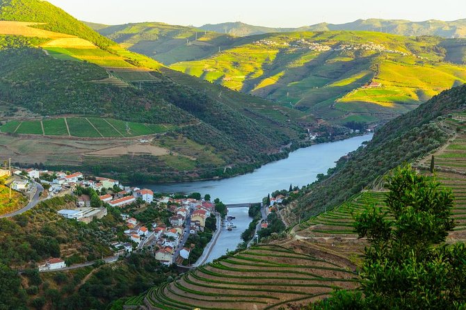 Douro Valley Tour: Wine Tasting, Cruise and Lunch from Porto - Back in Porto: Closing the Day Without Rushing
