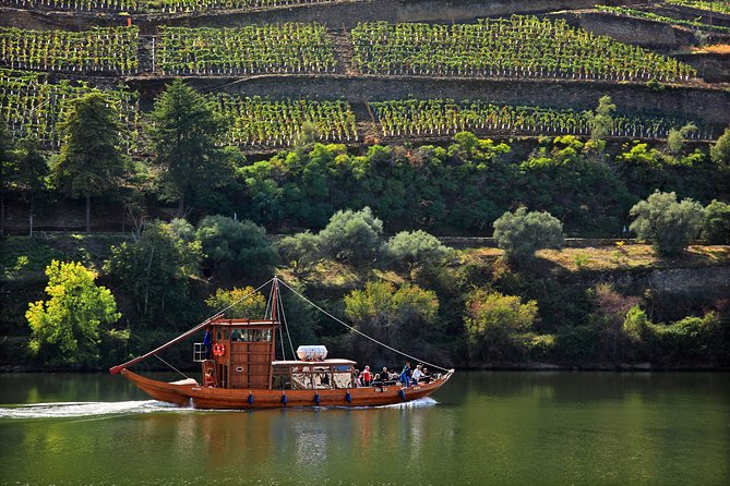 Douro Valley Tour: Wine Tasting, Cruise and Lunch from Porto - Price and Value: What $84.65 Really Buys You