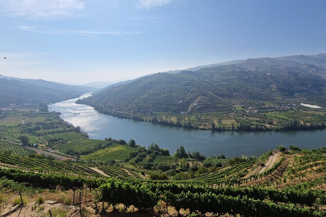 Douro Valley Tour: Wine Tasting River Cruise and Lunch from Porto - The “getting there” portion matters more than you think