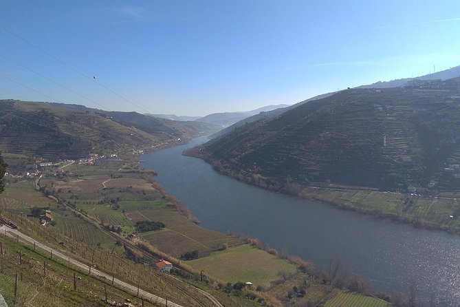Douro Valley Tour: Wine Tasting River Cruise and Lunch from Porto - A quick birthplace stop: Fernão de Magalhães and Miguel Torga