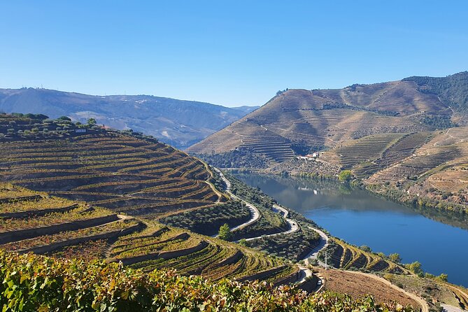 Douro Valley Tour: Wine Tasting River Cruise and Lunch from Porto - The Douro Valley UNESCO zone: what to look for from the road