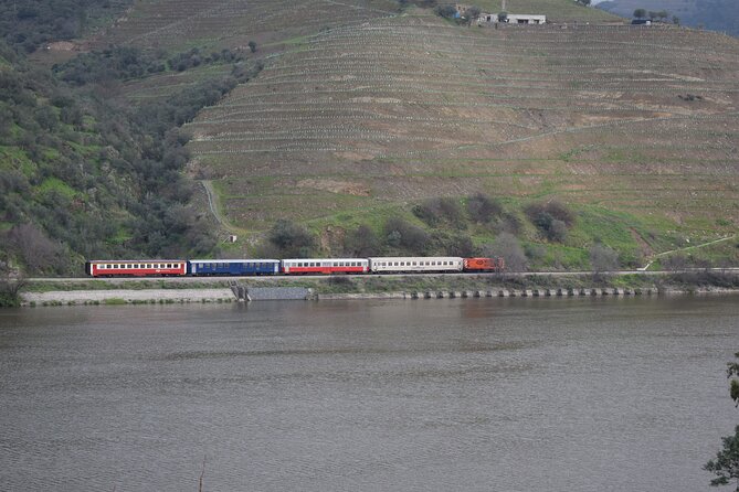 Douro Valley Tour with Train and Vinho Verde - Vilarinho de São Romão: cellar visit and wine plus olive oil tasting