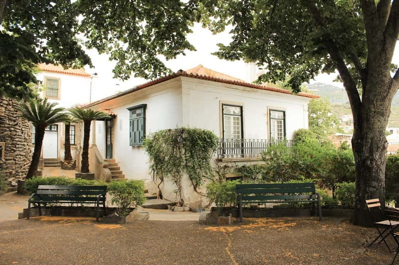 Douro Valley: Tour with Wine Tastings, Lunch, and Boat Ride - Who this tour fits best (and who should plan differently)