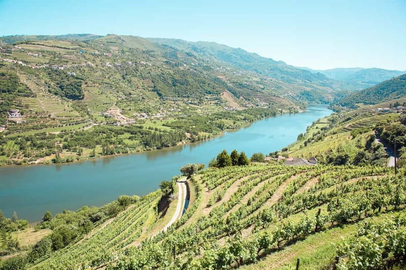 Douro Valley: Tour with Wine Tastings, Lunch, and Boat Ride - A 9-hour Douro day that stays manageable