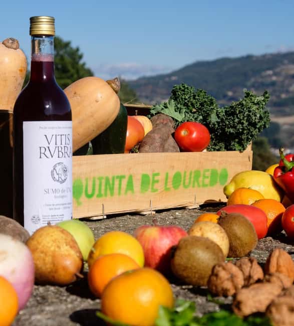 Douro Valley: Traditional Cooking Class, Farm Tour and Lunch - Quinta de Louredo: a real farm stop near Marco de Canaveses