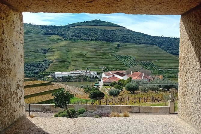 Douro Valley Vineyard Visits Wine Tasting Boat Ride and Lunch - Sabrosa Lunch at an Estate: wine tasting in a real setting