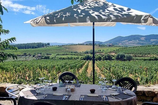 Douro Valley Vineyard Visits Wine Tasting Boat Ride and Lunch - Wine and Olive Oil Tastings: why this mix matters
