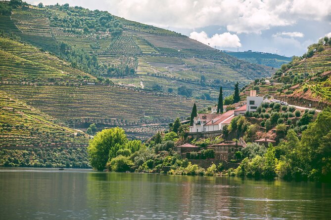 Douro Valley Vineyard Visits Wine Tasting Boat Ride and Lunch - Pinhao River Cruise: the Douro’s Best First Impression