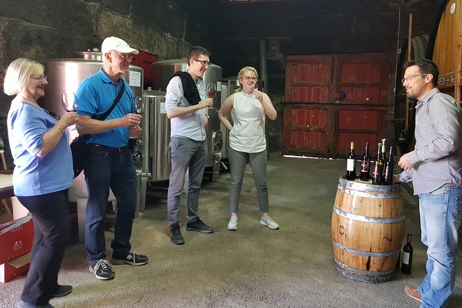 Douro Valley Wine Tour: 3 Vineyard Visits, Wine Tastings, Lunch - Stop 2 in Folgosa: tour an old estate and taste Port styles