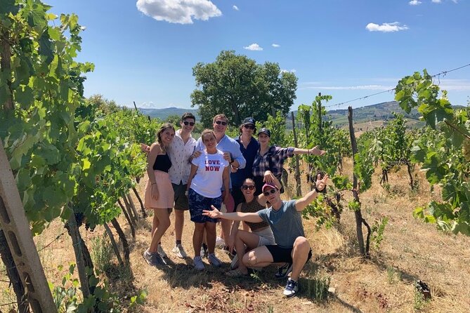 Douro Valley Wine Tour Private Group, 1h Cruise, Lunch from Porto - The 50-minute Douro river cruise: the views you can feel