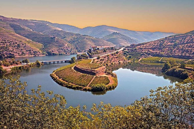 Douro Valley Wine Tour Private Group, 1h Cruise, Lunch from Porto - Peso da Régua lunch and a family-run winery tasting