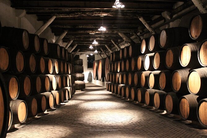 Douro Valley Wine Tour Private Group, 1h Cruise, Lunch from Porto - Back to Porto: what the drop-off means for your evening