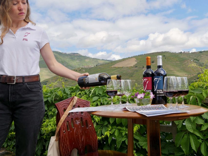 Douro Valley: Winery Tour at Quinta do Tedo and Tastings - Who should book this Quinta do Tedo tour?