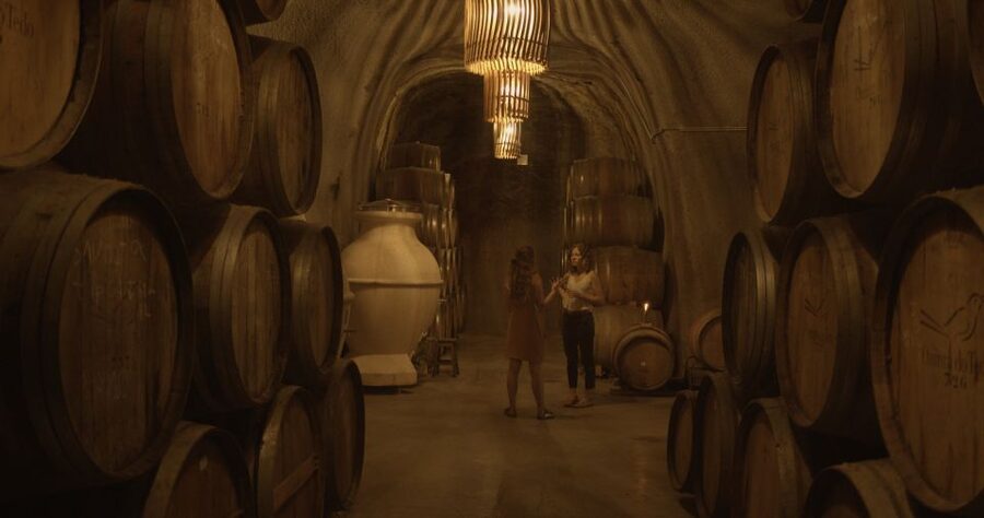 Douro Valley: Winery Tour at Quinta do Tedo and Tastings - The tasting at Quinta do Tedo: where you taste with the river view