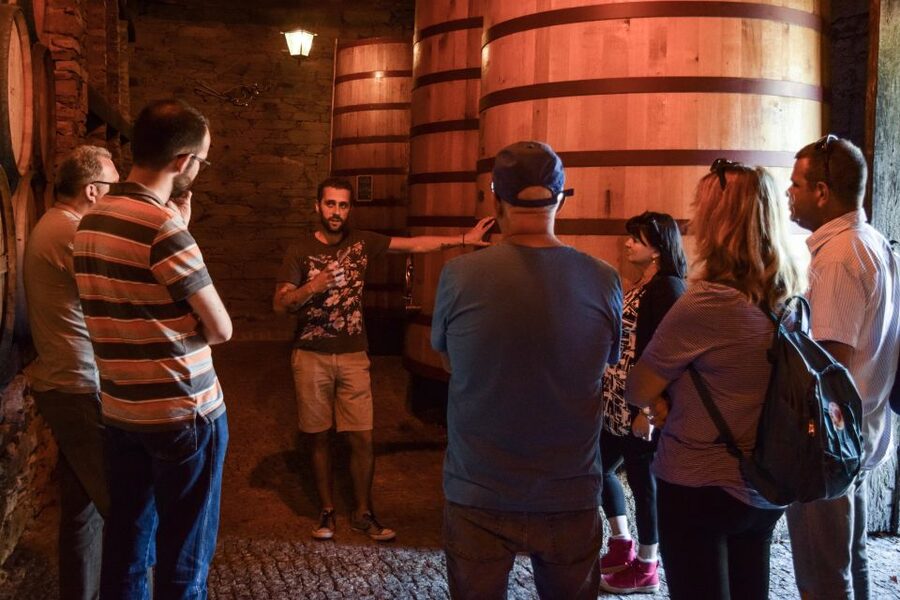 Douro Valley: Winery Tour at Quinta do Tedo and Tastings - Organic grapes and Class A vineyard details that matter