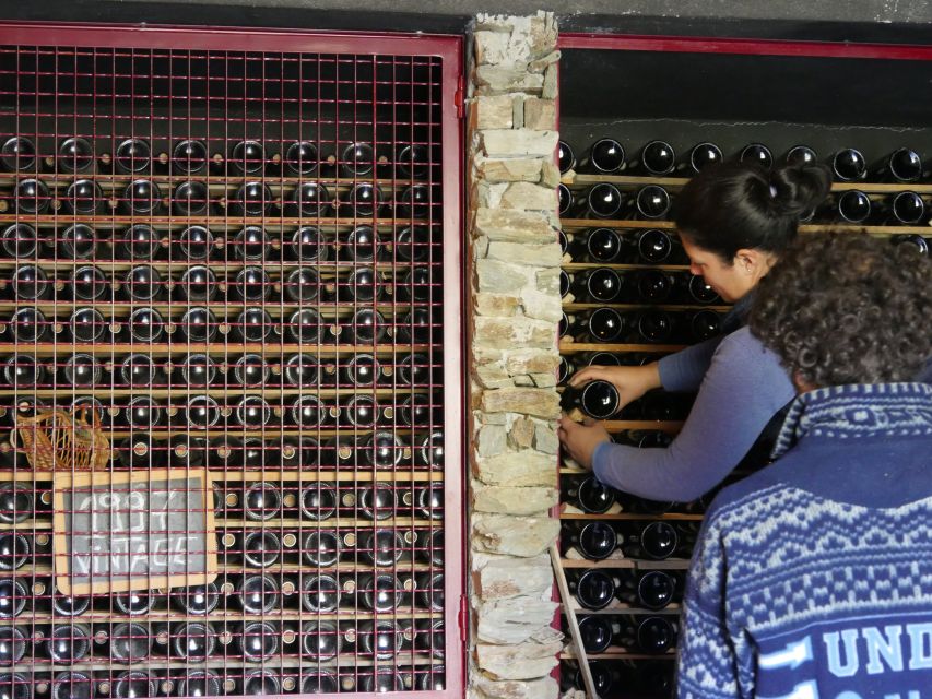 Douro Valley: Winery Tour at Quinta do Tedo and Tastings - Shopping time that actually fits the flow