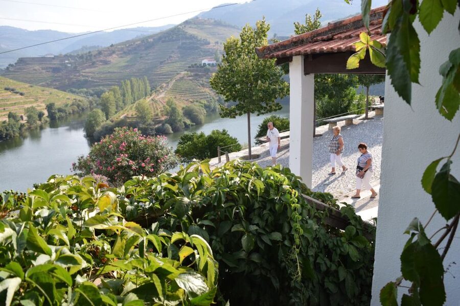 Douro Valley: Winery Tour at Quinta do Tedo and Tastings - Price and value: does $42 make sense for a 1-hour experience?