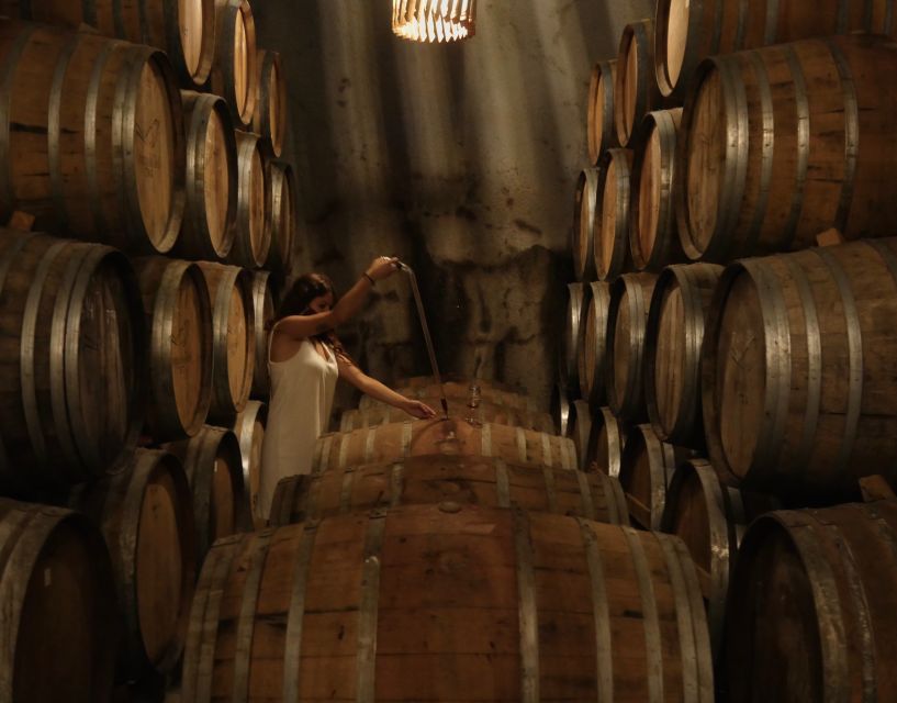 Douro Valley: Winery Tour at Quinta do Tedo and Tastings - Timing, the meeting point, and how to plan your day