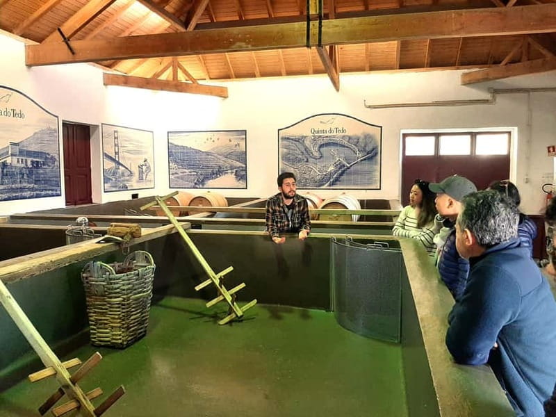 Douro Valley: Winery, Traditional Lunch & Private Boat Trip - Two small producers: Port and DOC tasting that actually teaches you something