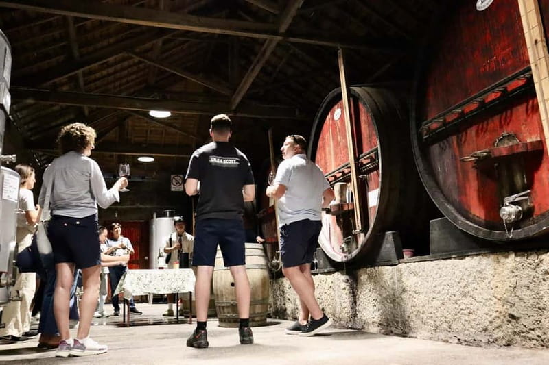 Douro Valley: Winery, Traditional Lunch & Private Boat Trip - What you get for $223, and who it’s best for