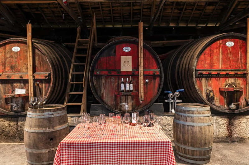 Douro Valley: Winery, Traditional Lunch & Private Boat Trip - Practical details I’d plan around (before you go)