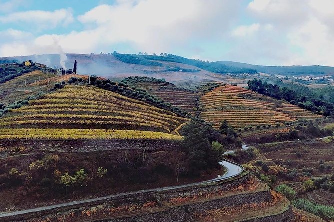 Douro Valley with Two Winery, Boat Trip and Lunch From Porto - Key highlights at a glance
