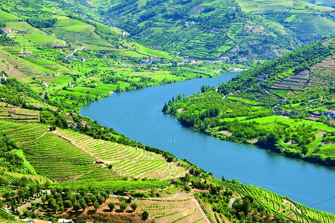 Douro Valley with Two Winery, Boat Trip and Lunch From Porto - Port wine estate visit: where the Douro becomes more than scenery