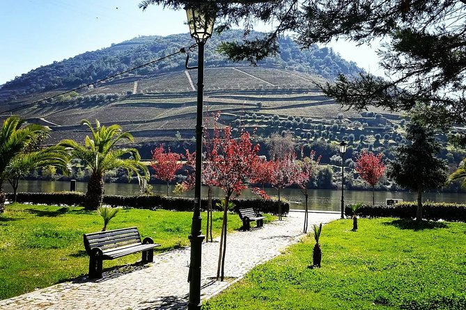 Douro Valley with Two Winery, Boat Trip and Lunch From Porto - Tabuaço lunch: traditional Portuguese dishes, included