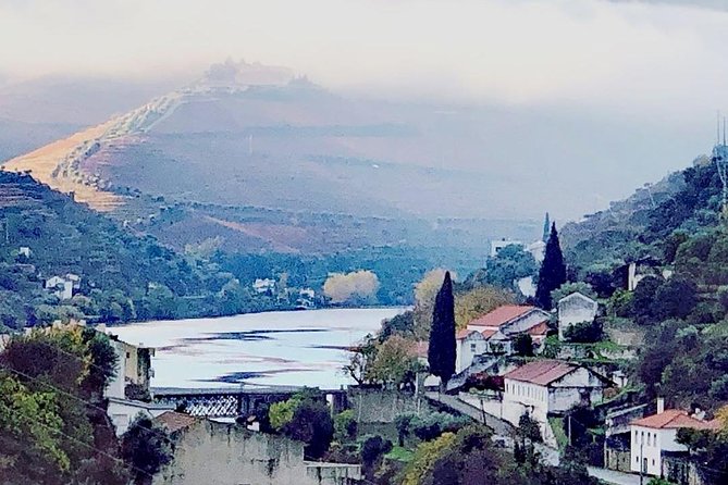 Douro Valley with Two Winery, Boat Trip and Lunch From Porto - Rabelo boat cruise on the Douro River: terraces up close