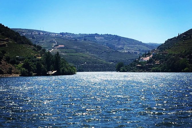 Douro Valley with Two Winery, Boat Trip and Lunch From Porto - Pinhão wine tasting: building a second perspective