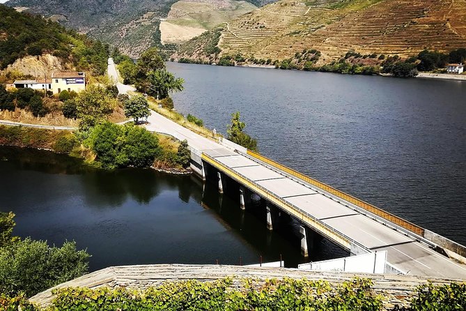 Douro Valley with Two Winery, Boat Trip and Lunch From Porto - Olive oil museum and small producer tasting: honey, almonds, and oil