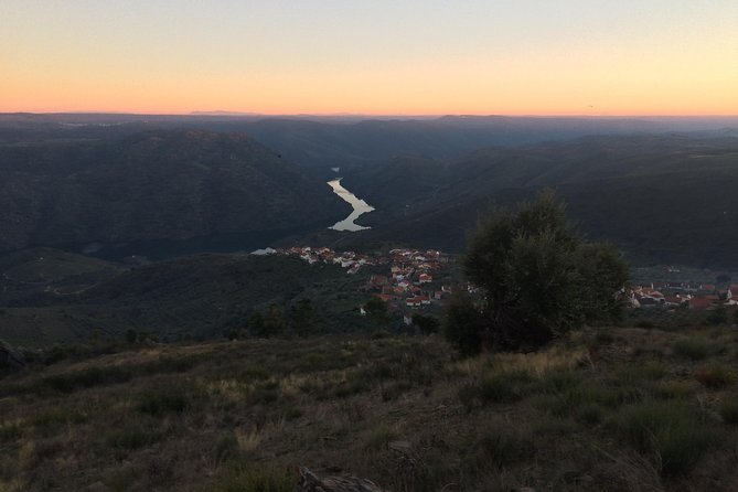 Douro Xperience - Porto Cathedral start, full-day convenience built in