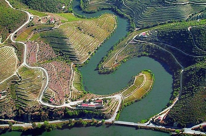 Douro Xperience - Lunch along the Douro River: where the day slows down