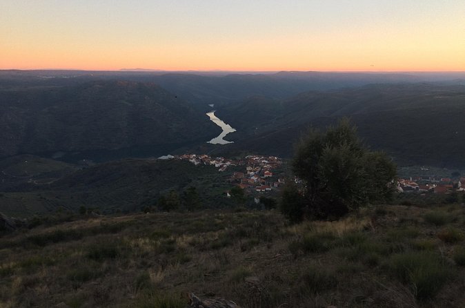 Douro Xperience - Guide commentary that keeps the day from feeling like a checklist