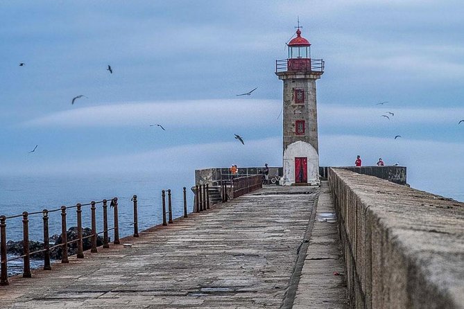 Experience Porto by Bike: 3-Hour Private Tour - Arrábida Bridge and the Porto Tram Museum stop for a different side of the city