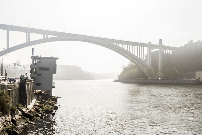 Experience Porto by Bike: 3-Hour Private Tour - City Park and Pasteleira Urban Park: the green break that keeps you from burning out