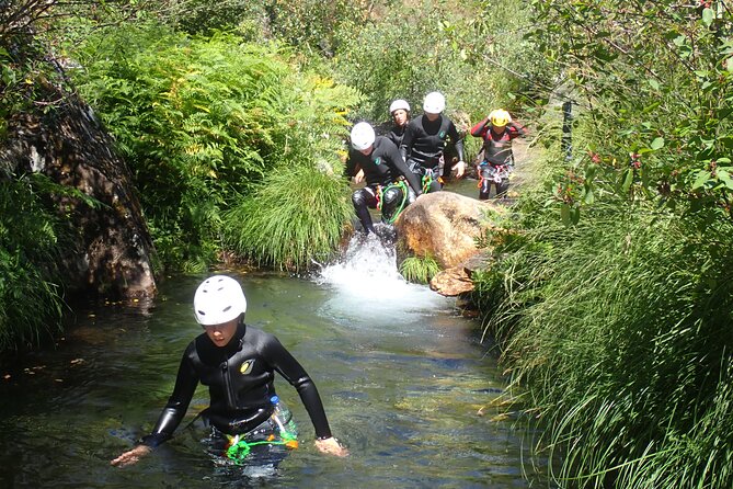 From Arouca: Canyoning Adventure - Adventure Tour - Price and value for a 5-hour guided adventure