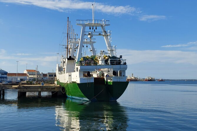 From Aveiro: Costa Nova, Barra, Vista Alegre - Half-Day Trip - Book it or skip it: my decision guide for your dates
