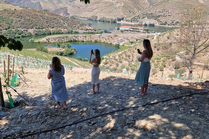 From Gaia Tour to Douro Valley with Boat Wine Tasting and Lunch - Key highlights you’ll care about