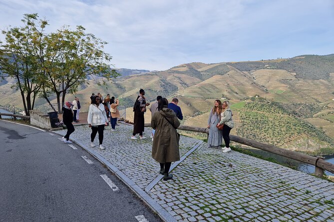 From Gaia Tour to Douro Valley with Boat Wine Tasting and Lunch - Best fit for you, and who should look elsewhere
