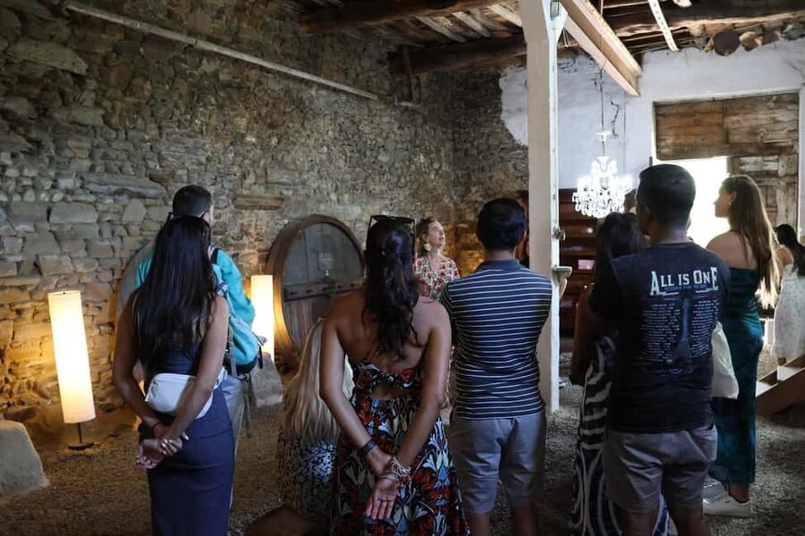 From Porto: 2 Boutique Wineries w/ Winery Lunch & 1-h cruise - Peso da Régua lunch with wine tasting: refuel and reset